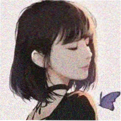 用户胶片收藏家头像